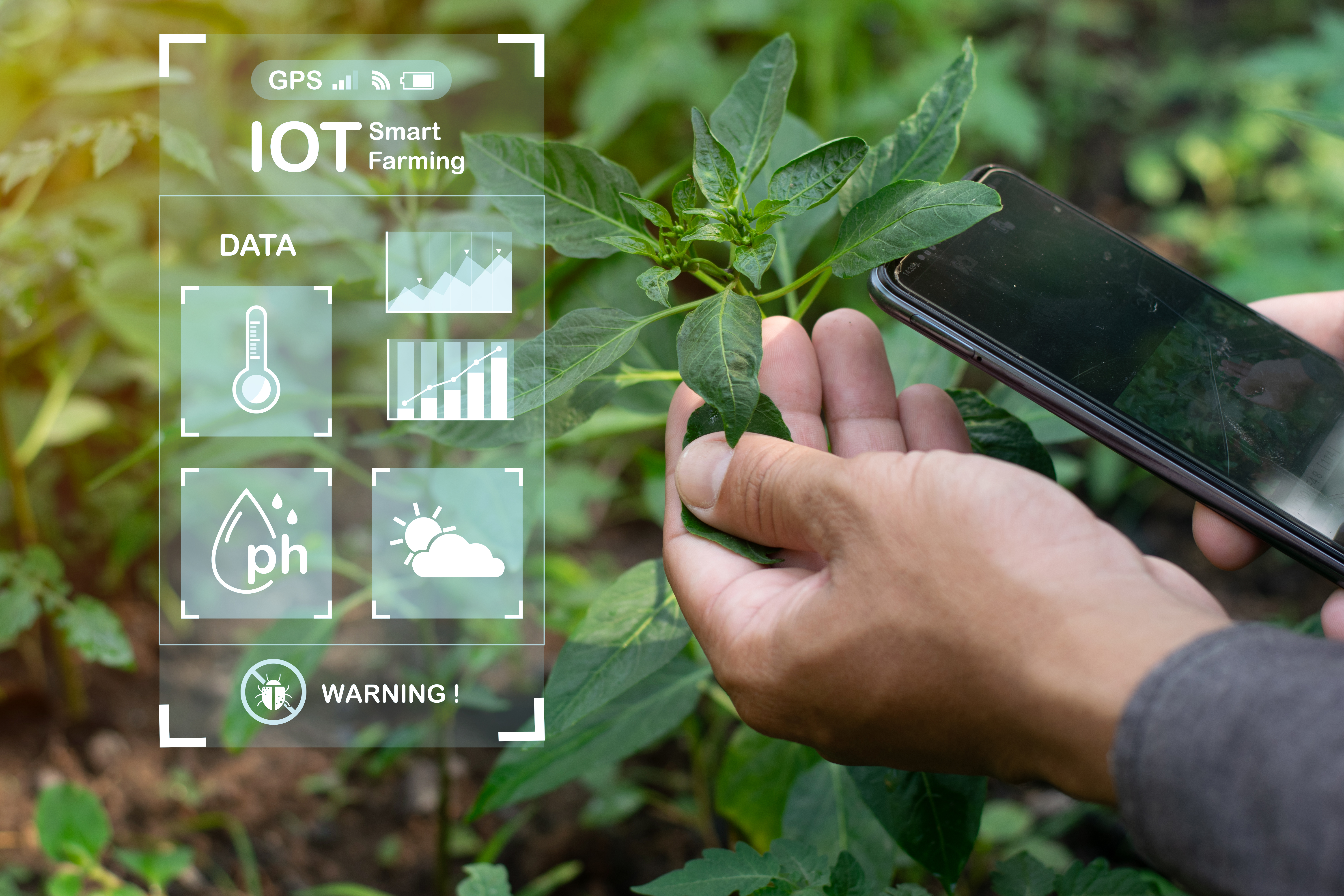 IoT - Měření environmentálních veličin