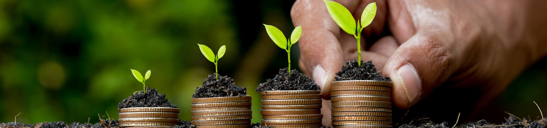 Udržitelná a ekologická firma